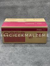 Oasis MaxiLife Çiçek Süngeri