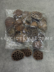 Kuru Lotus Çiçeği