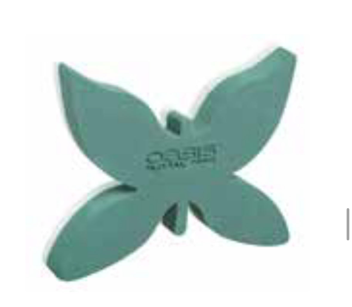 Küçük Kelebek Oasis