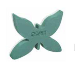 Küçük Kelebek Oasis