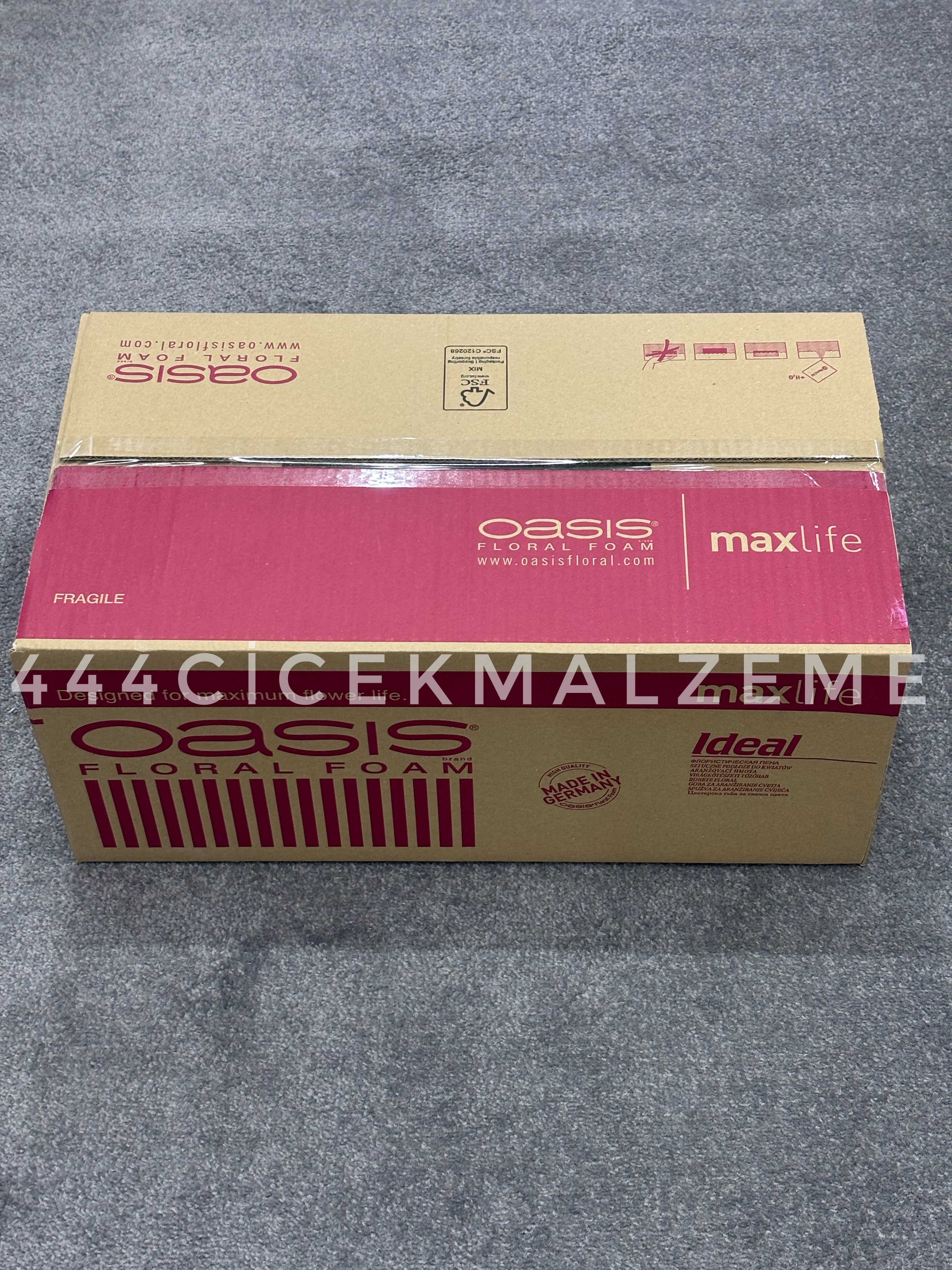 Oasis MaxiLife Çiçek Süngeri