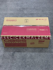 Oasis MaxiLife Çiçek Süngeri