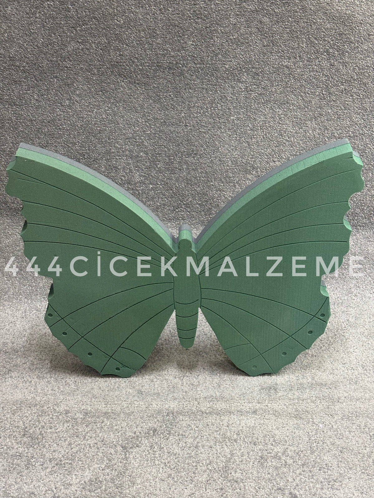 Büyük Kelebek Oasis