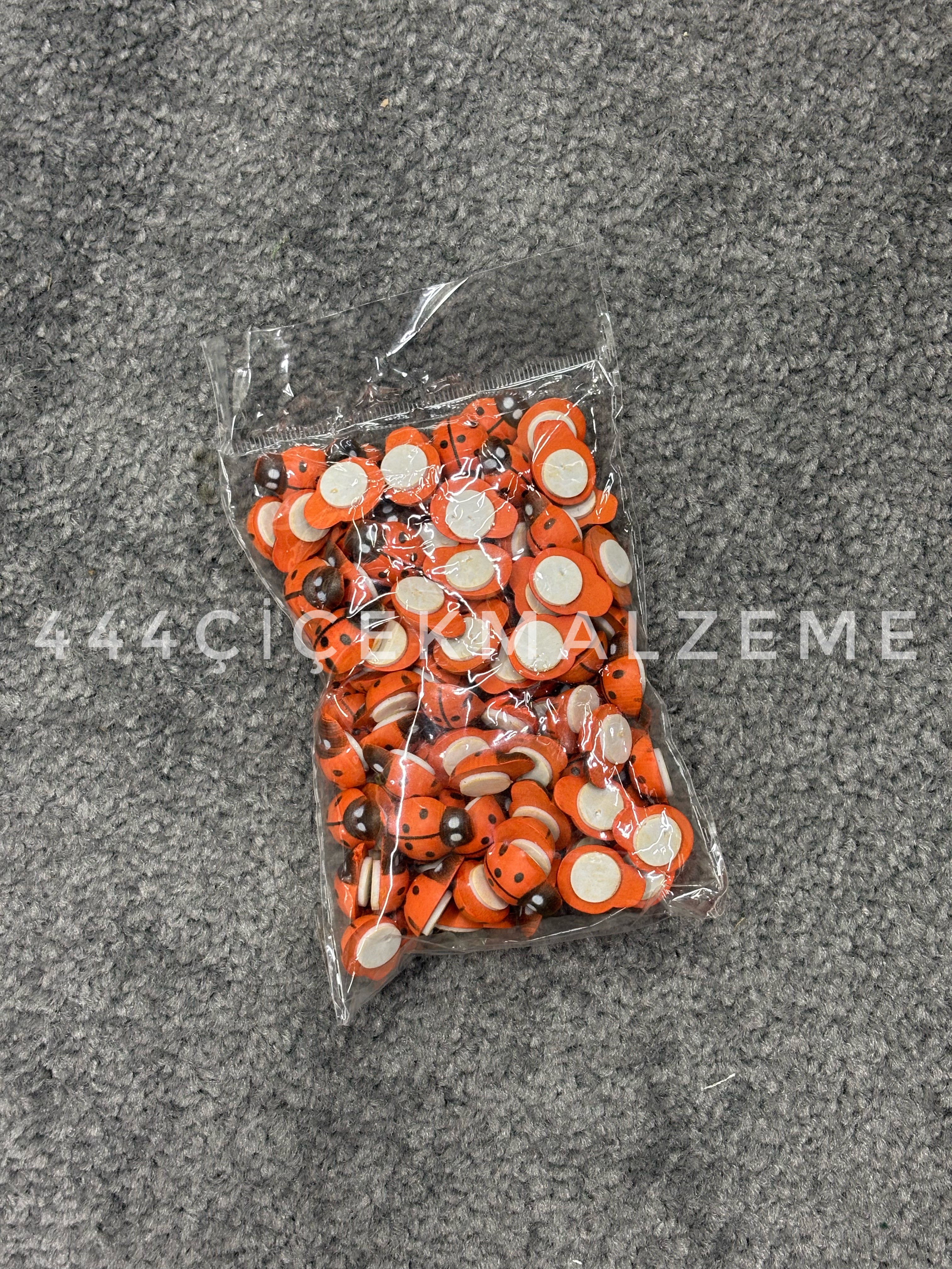 Yapışkanlı Uğur Böceği